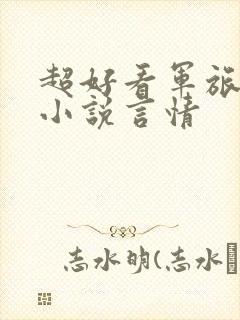 超好看军旅甜文小说言情