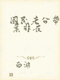 国民老公带回家 叶非夜