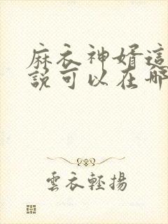 麻衣神婿这本小说可以在哪里免费看封面