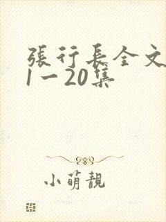 张行长全文阅读1一20集