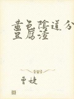 黄色阴道分泌物豆腐渣