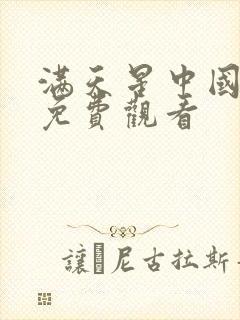 满天星中国同人免费观看
