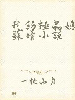 我的极品媳妇儿苏晴小说