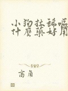 小狗拉稀呕吐吃什么药好用