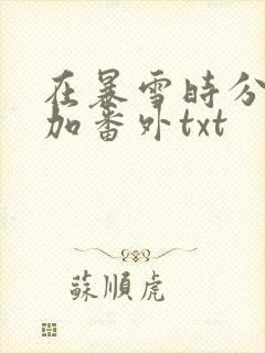 在暴雪时分全文加番外txt