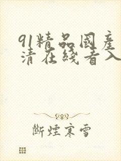 91精品国产高清在线看入口