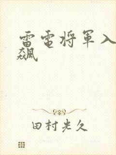 雷电将军入夜狂飙