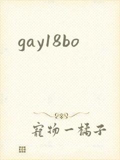 gay18bo