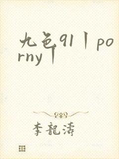 九色91丨porny丨