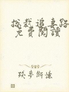 总裁追妻路漫漫 免费阅读封面