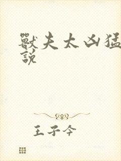 兽夫太凶猛 小说