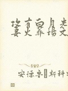 攻有白月光的追妻火葬场文