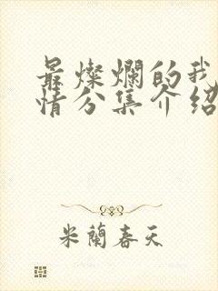 最灿烂的我们剧情分集介绍封面