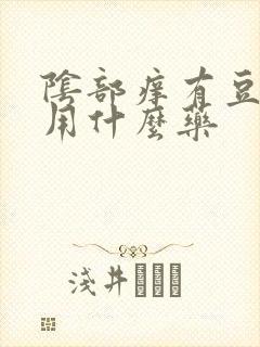 阴部痒有豆腐渣用什么药