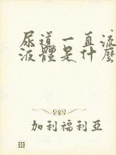 尿道一直流白色液体是什么原因