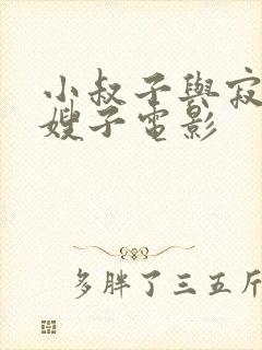 小叔子与寂寞的嫂子电影封面