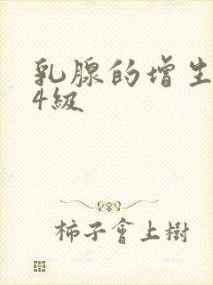 乳腺的增生结节4级