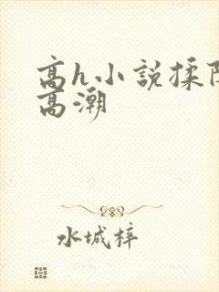 高h小说揉阴蒂高潮