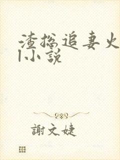 渣总追妻火葬场l小说封面