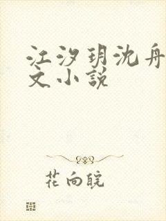 江汐玥沈舟琛全文小说