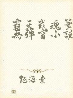 霸天武魂笔趣阁无弹窗小说