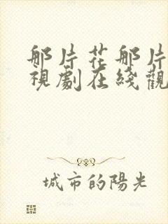 那片花那片海电视剧在线观看