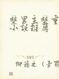 双男主双重人格小说推荐