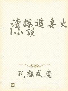 渣总追妻火葬场l小说