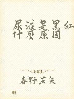 尿液是黑红色是什么原因