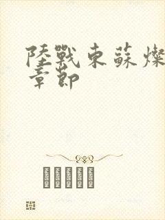 陆战东苏灿后续章节