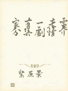 家有一老电视剧分集剧情介绍