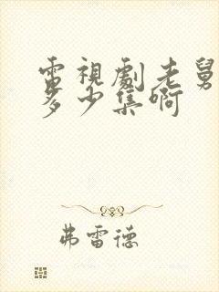 电视剧老舅一共多少集啊封面