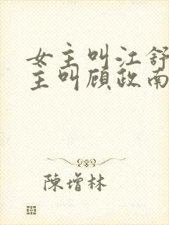 女主叫江舒棠男主叫顾政南的小说封面