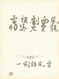 电视剧向风而行40集免费观看