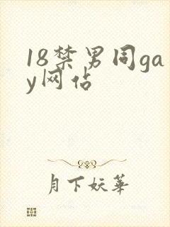 18禁男同gay网站
