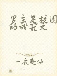 男主是校园大佬的甜宠文