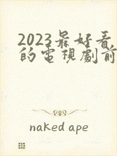 2023最好看的电视剧前十名