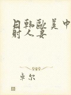 日韩欧美中文内射人妻