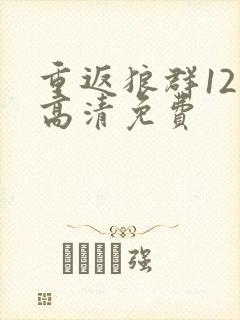 重返狼群12集高清免费