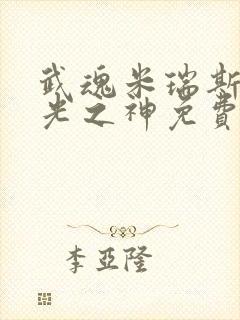 武魂米瑞斯我为光之神免费阅读