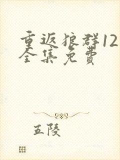 重返狼群12集全集免费