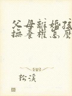 父母离婚孩子的抚养权怎么判定15岁