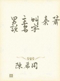 男主叫秦萧的小说名字封面