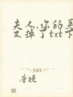 夫人,你的马甲又掉了txt下载封面