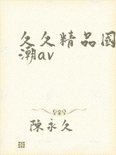 久久精品国产高潮av