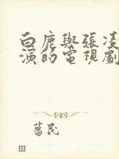 白鹿与张凌赫主演的电视剧