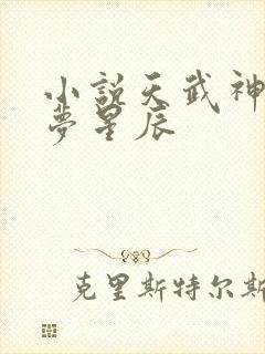 小说天武神帝醉梦星辰