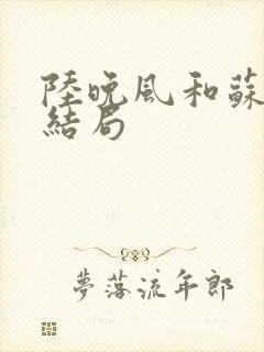 陆晚风和苏文的结局