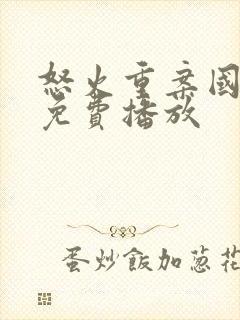 怒火重案国语版免费播放