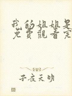 我的姐姐是将军免费观看完整版高清封面